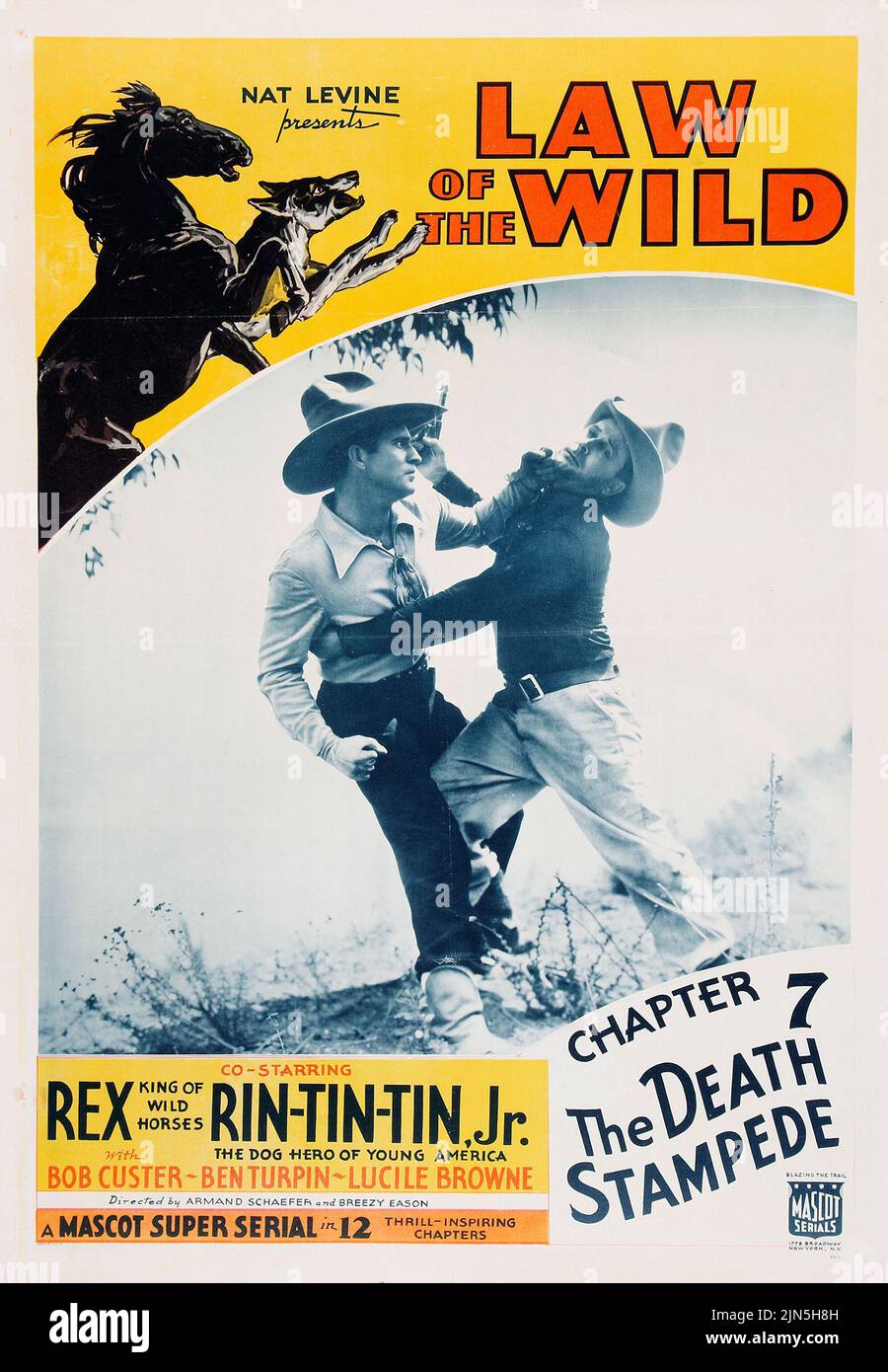 Vintage film poster - Rex King of Wild Horses and Rin-Tin-Tin - Law of the Wild (Mascot, 1934).  Chapter 7 - 'The Death Stampede.' Stock Photo