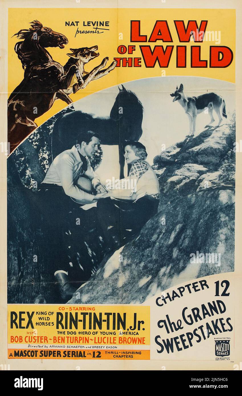 Vintage film poster - Rex King of Wild Horses and Rin-Tin-Tin - Law of the Wild (Mascot, 1934). Chapter 12 - 'The Grand Sweepstakes.' Stock Photo