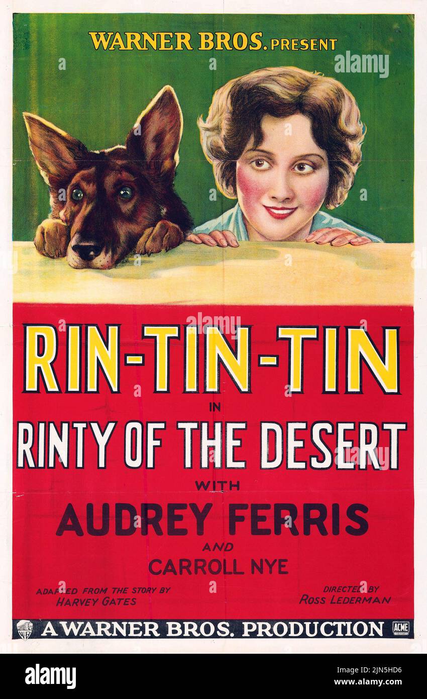 Vintage film poster - Rinty of the Desert (Warner Bros., 1928) Rin-Tin-Tin Stock Photo