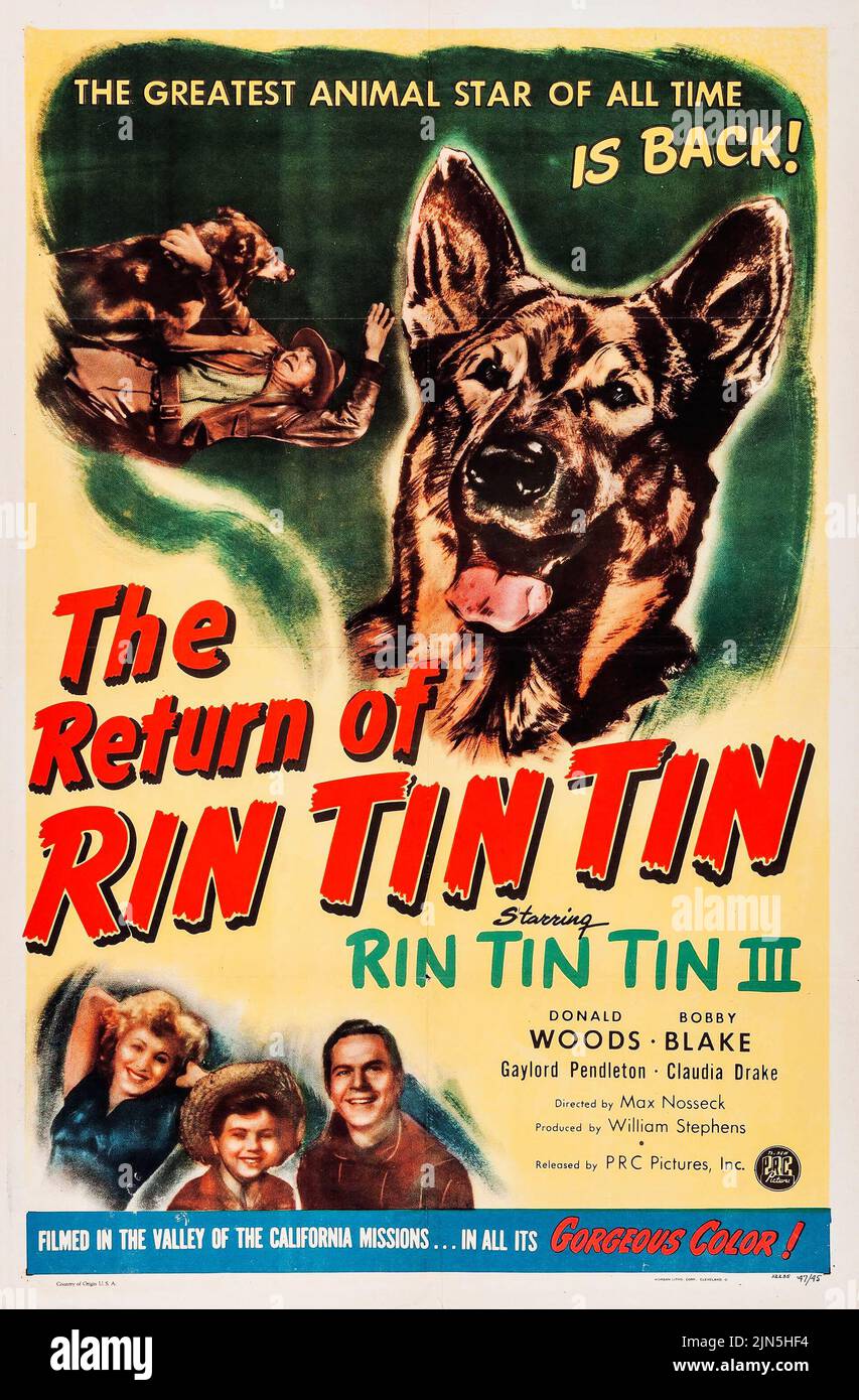 Vintage movie poster - The Return of Rin Tin Tin (PRC, 1947) Stock Photo