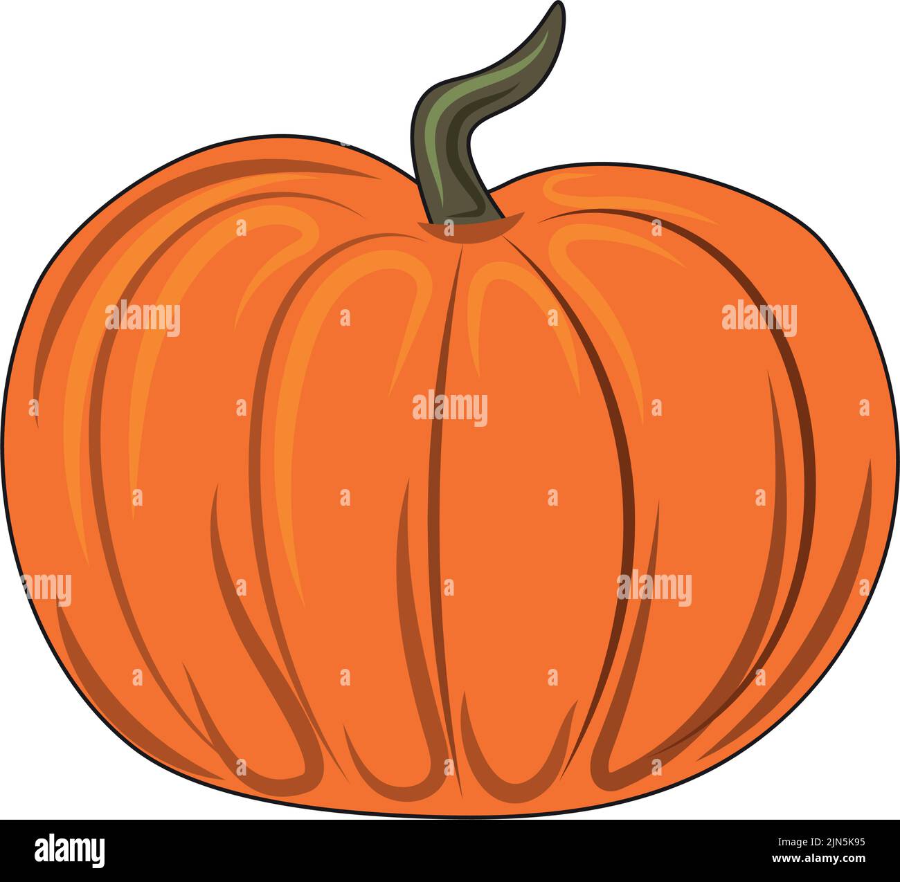 Orange pumpkin isolated on white background, harvest festival - Vector ...