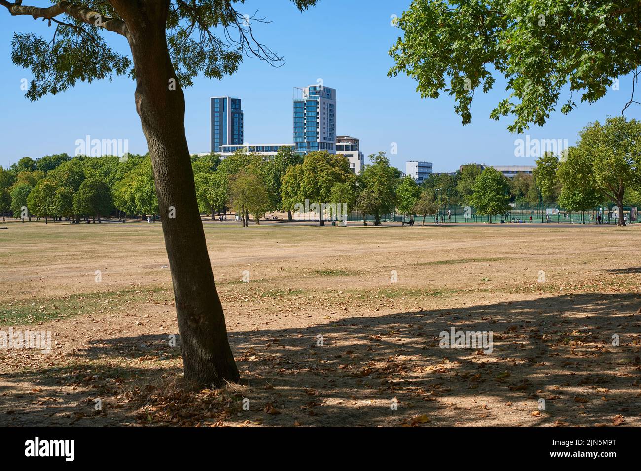 Finsbury Park, North London UK, during the drought in August 2022 Stock Photo