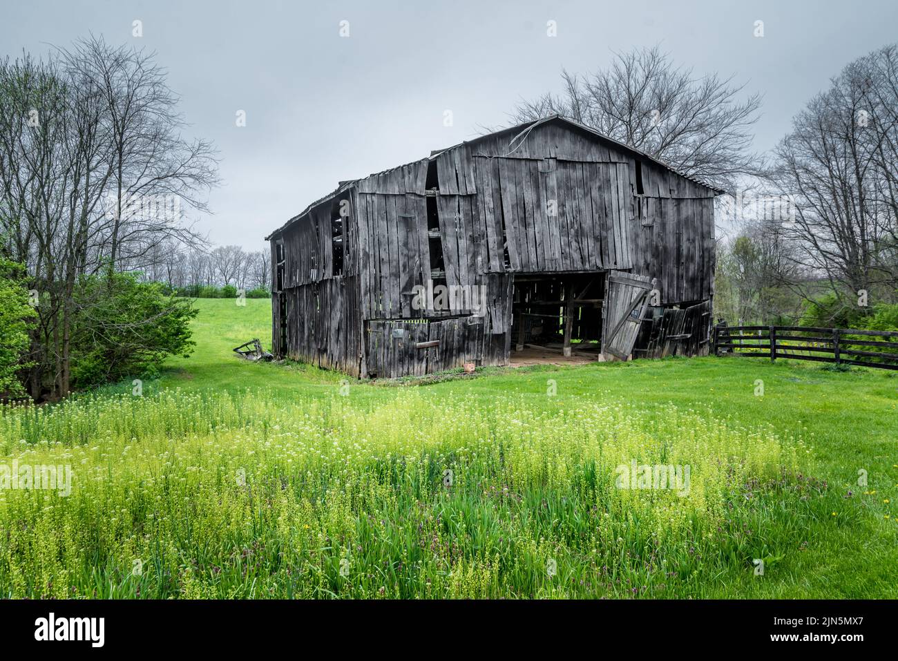 Old Kentucky Black Tobacco Barn in  Farm Field During Spring Storm Stock Photo