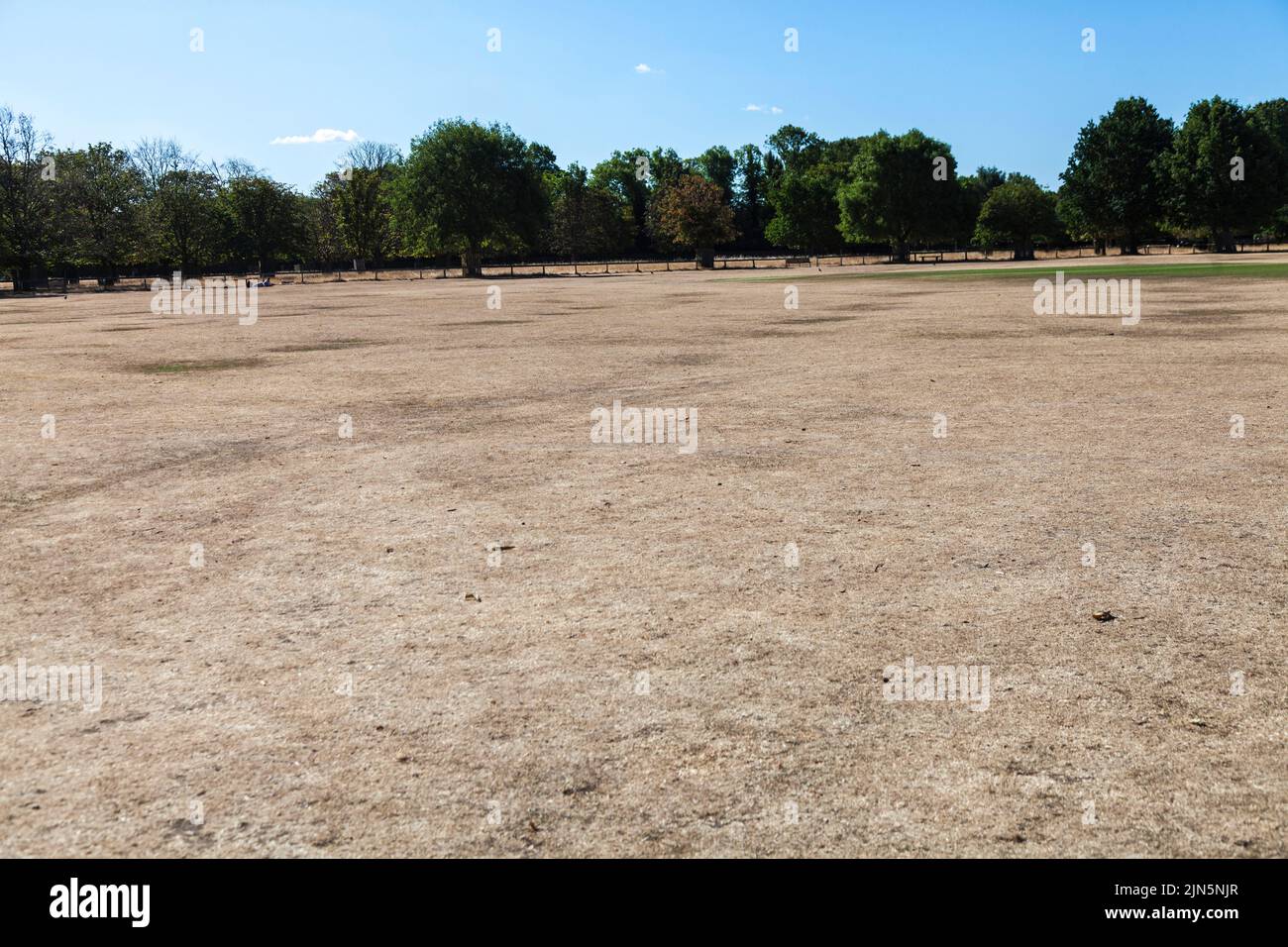 Bushy Park,Richmond upon Thames,UK. 5th August 2022. Scorched grasslands in the park, with another heatwave imminent. David Dixon / Alamy Stock Photo