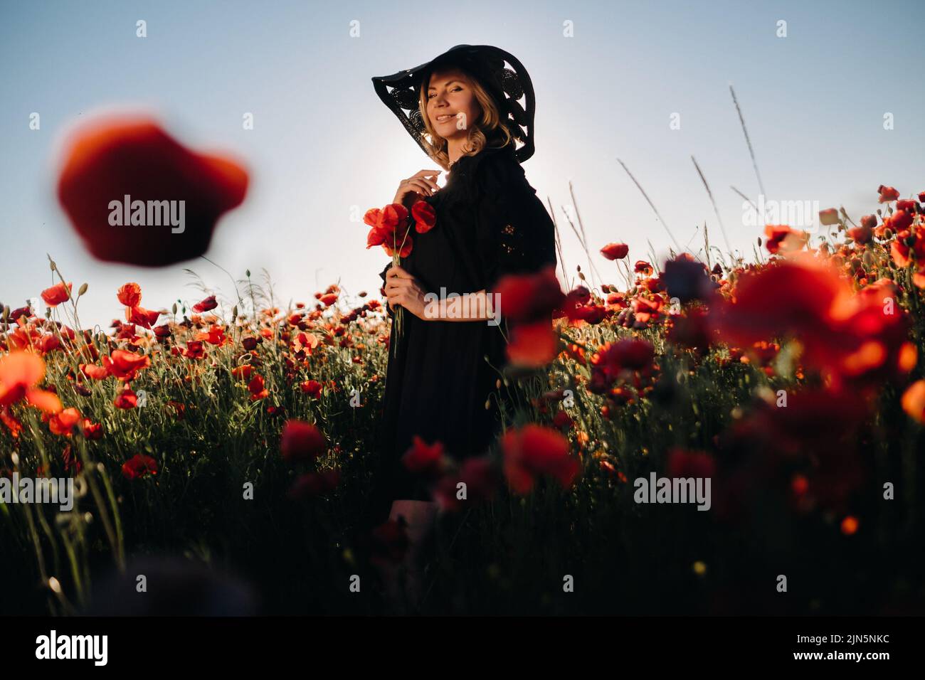 a girl in a black dress and hat on a poppy field at sunset Stock Photo ...