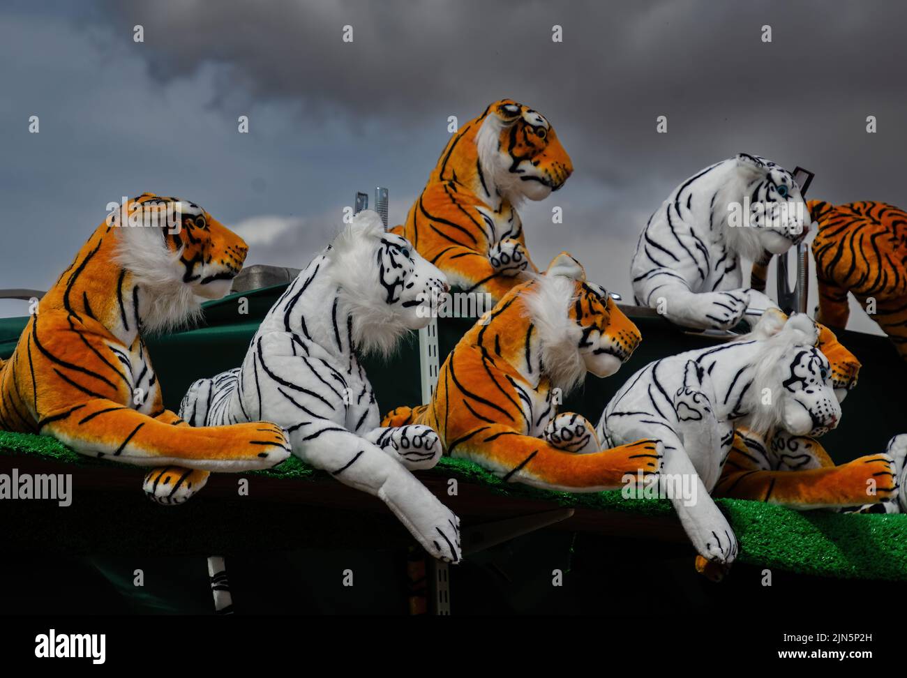 surreal toy tigers at fairground stall Stock Photo