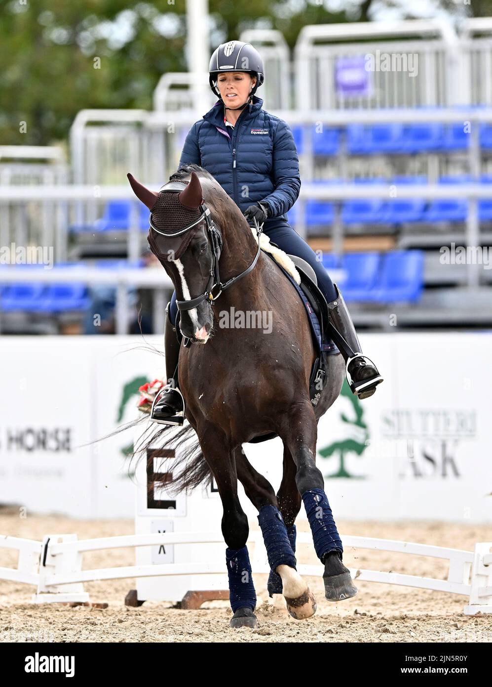 Herning, Denmark. 09th Aug, 2022. World Equestrian Games. BB Horse