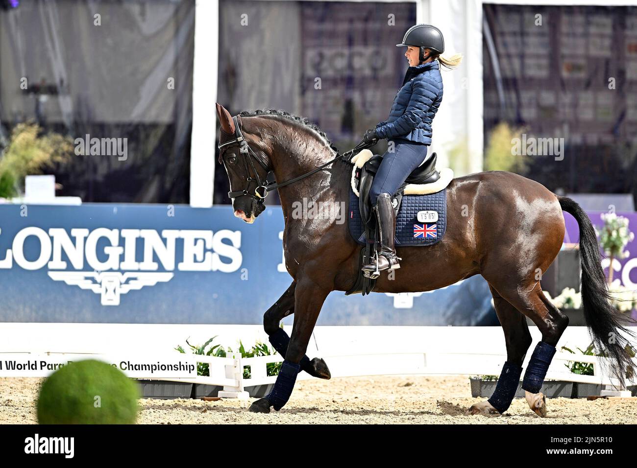 Herning, Denmark. 09th Aug, 2022. World Equestrian Games. BB Horse