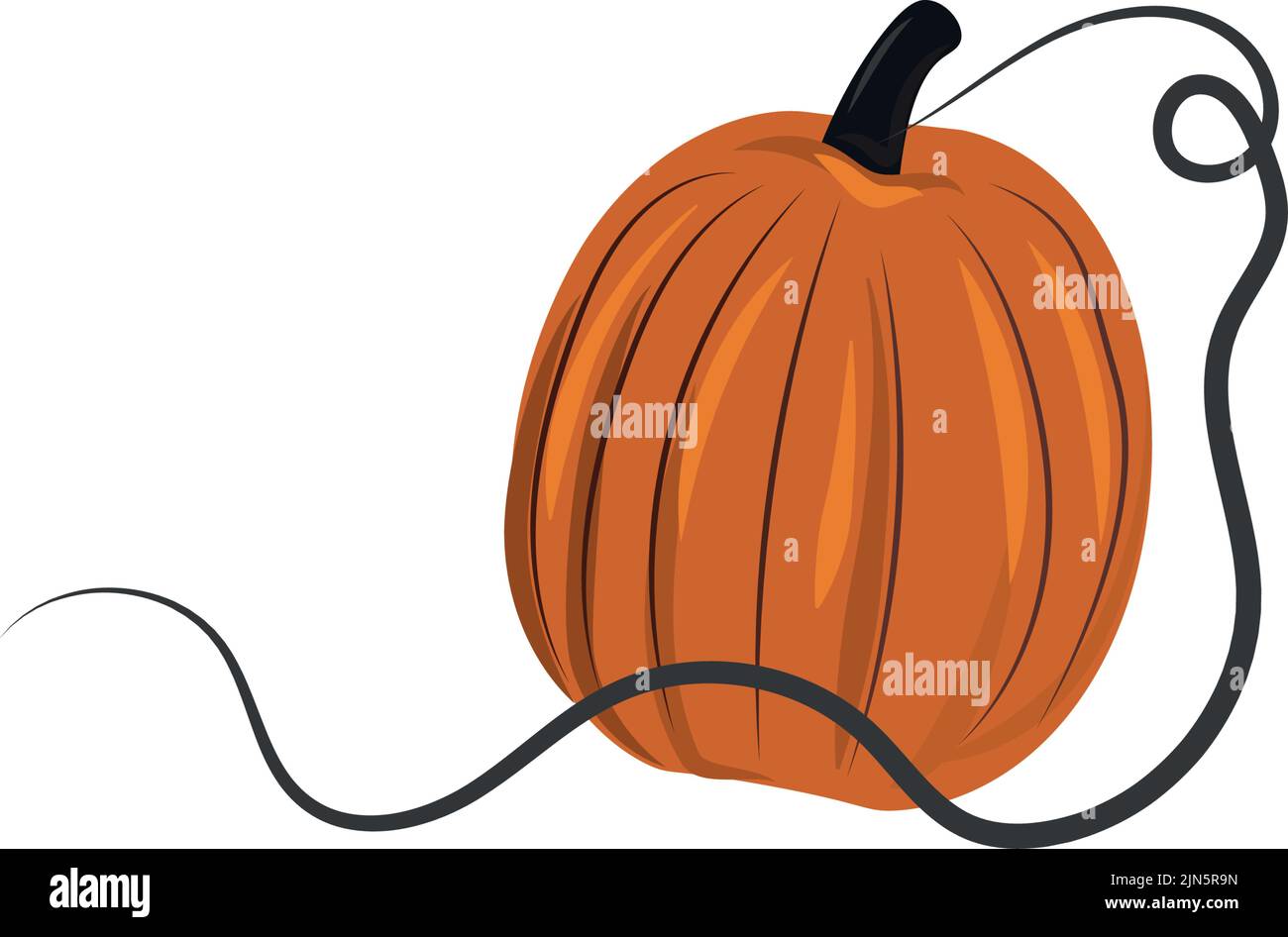 Orange pumpkin isolated on white background, harvest festival - Vector ...