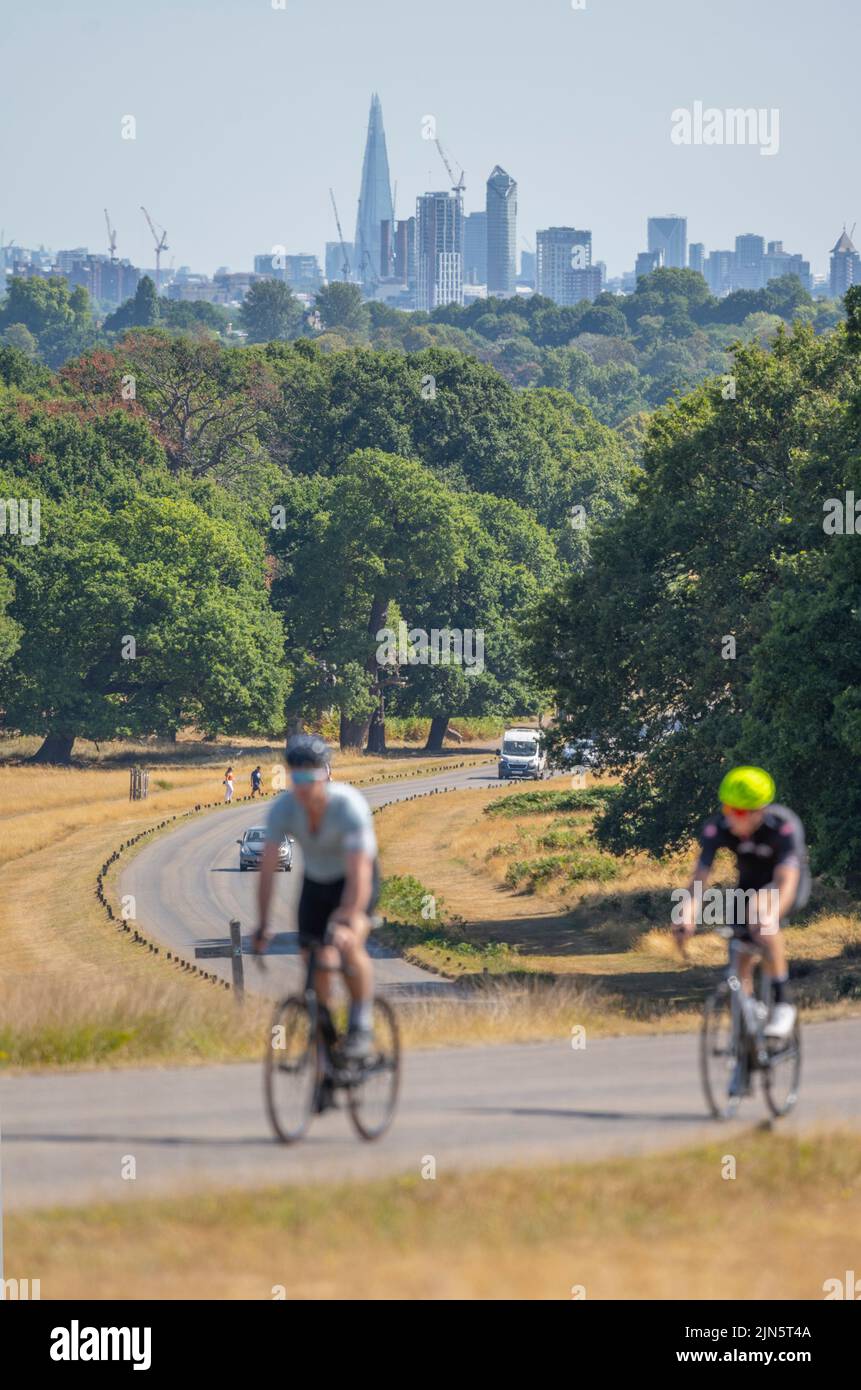 Richmond Park, London, UK. 9 August 2022. City of London skyscrapers shimmer in a heat haze as traffic in Richmond Park passes parched grassland and temperatures due to rise again with a heat-health alert for England. Credit: Malcolm Park/Alamy Live News Stock Photo