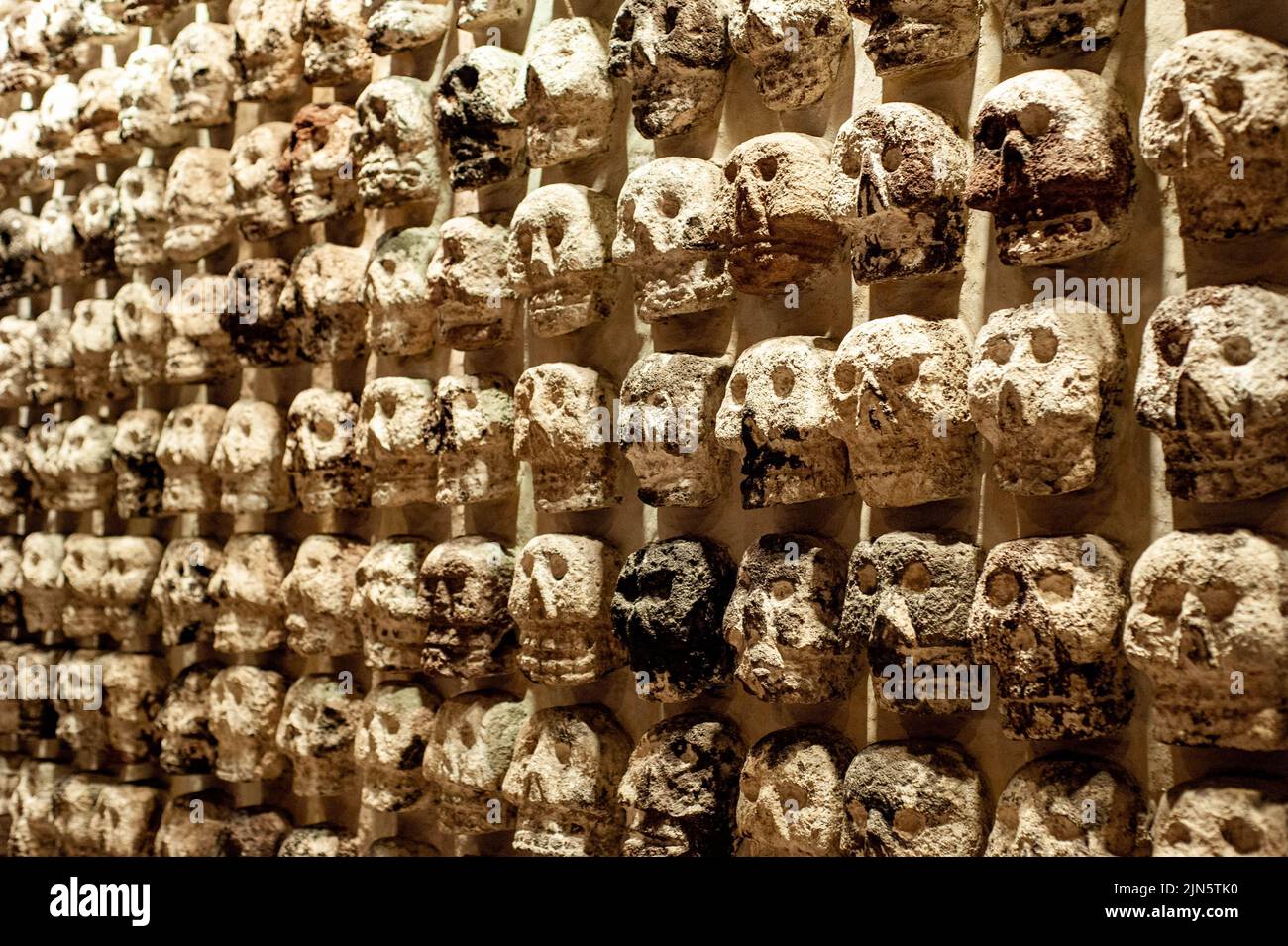 A closeup shot of a wall decorated with skulls Stock Photo