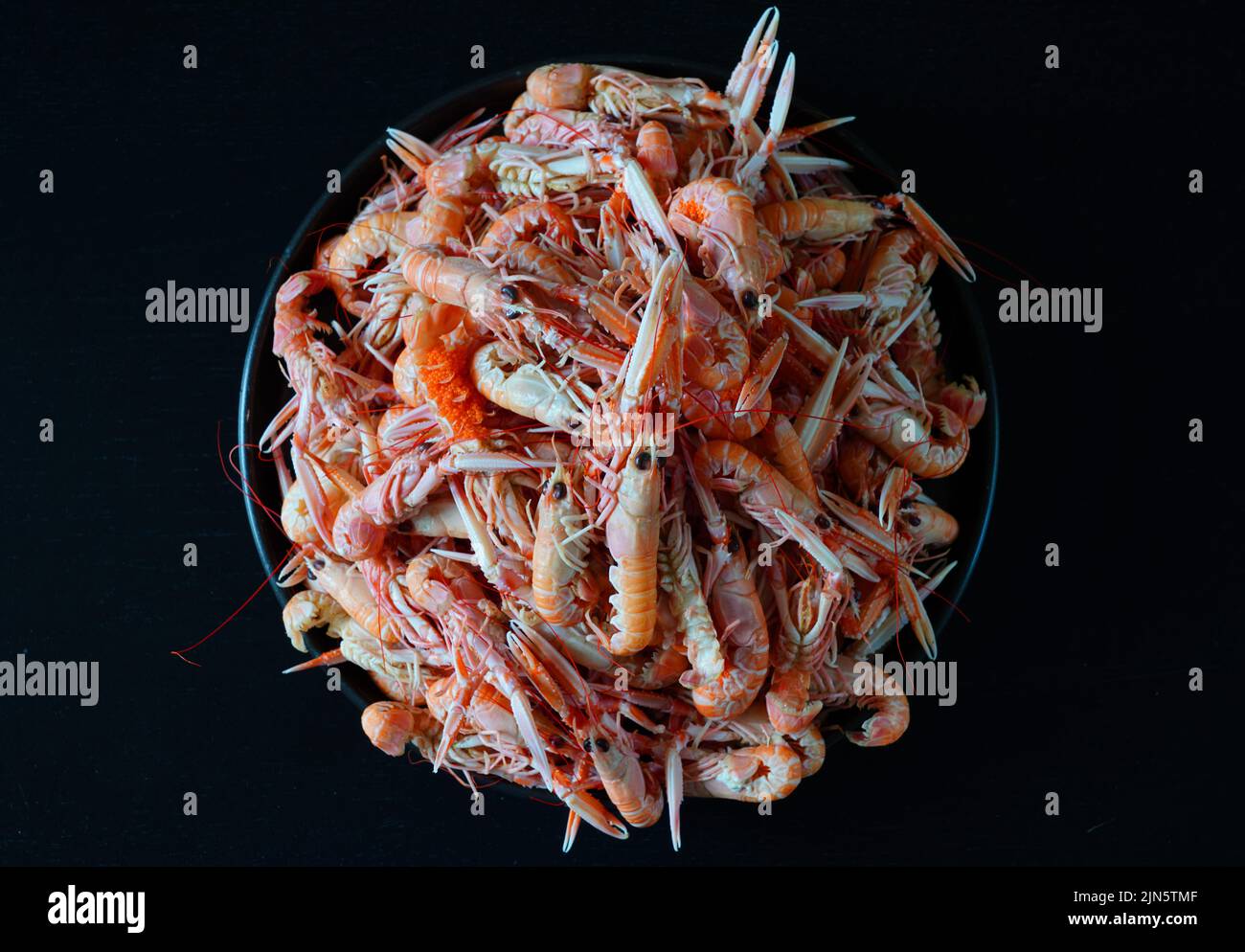 Platter of fresh cooked langostino in Brittany, France Stock Photo