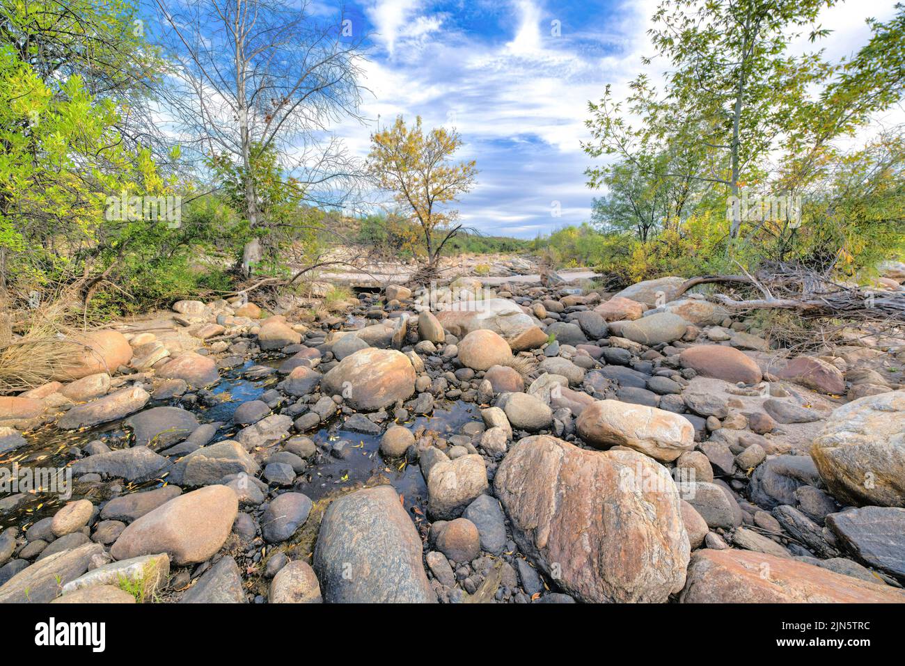 Desert creek at Sabino Canyon State Park in Tucson, Arizona. Almost dry