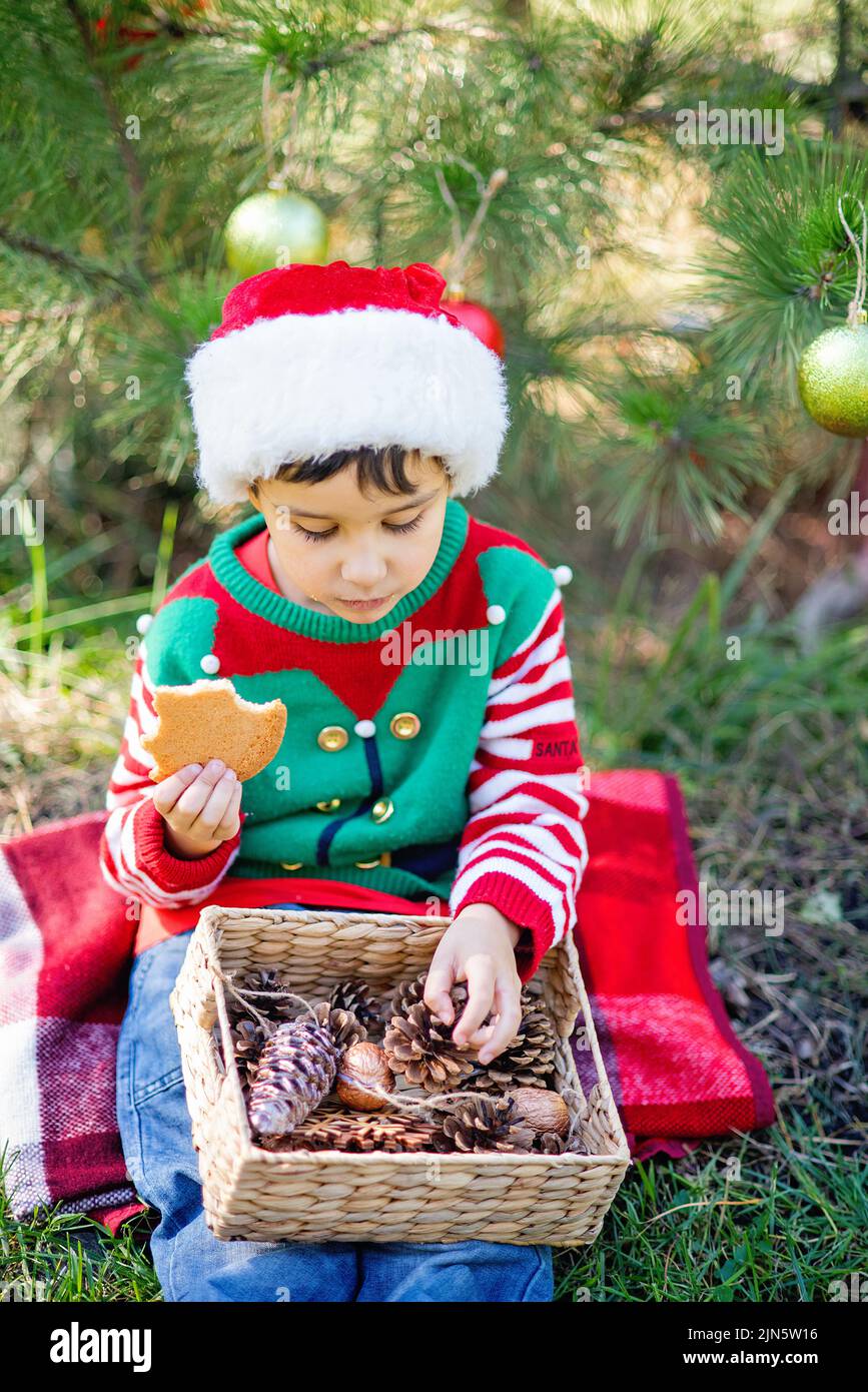 Little boy in sweater and hat waiting for a Christmas in the wood. little boy near the christmas