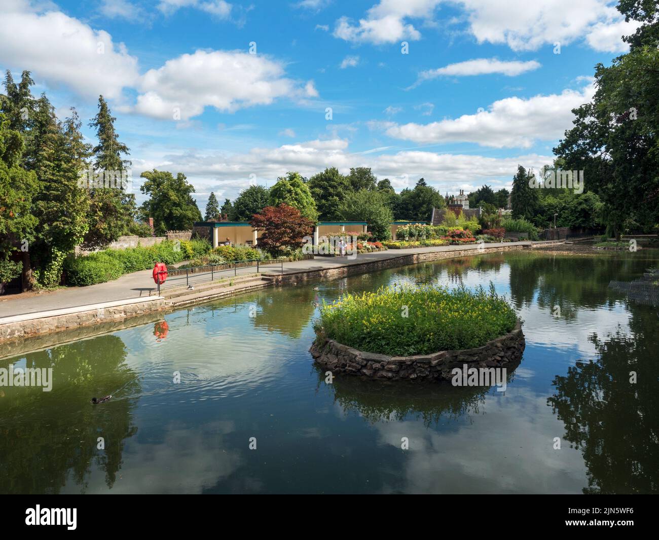 Swan Pool in Priory Park in Great Malvern Worcestershire England Stock Photo