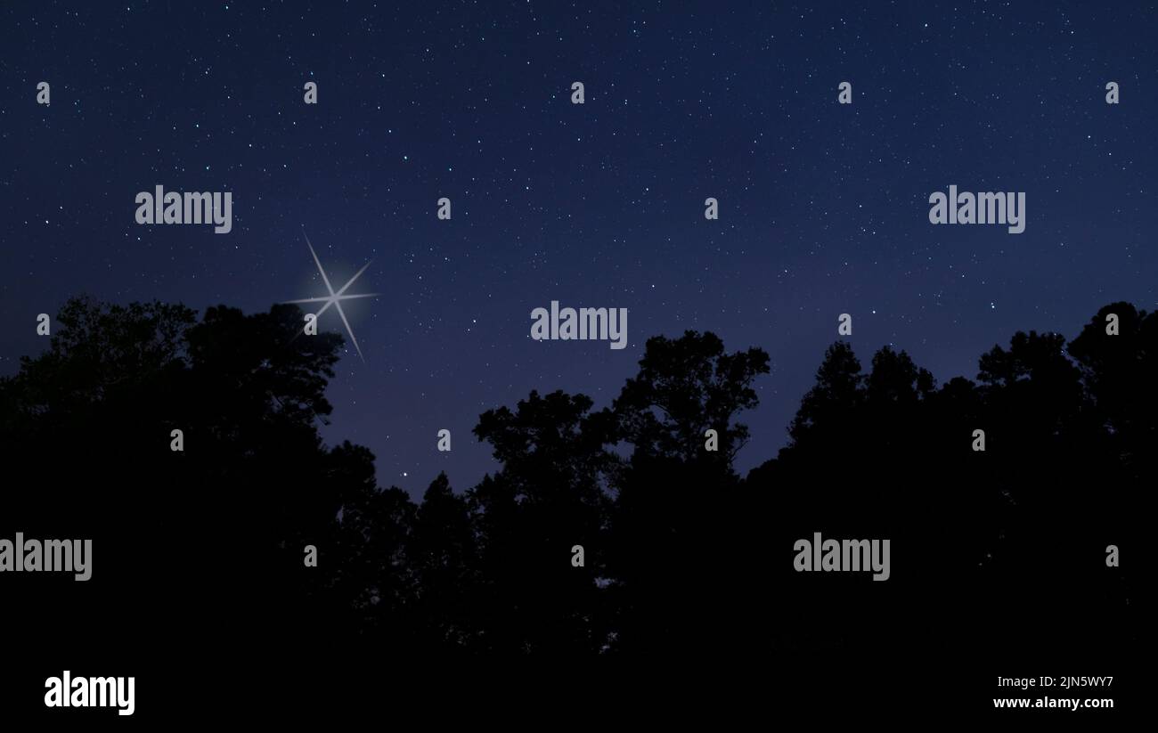 Christmas Rising Star Christmas star rising from a dark treeline near Raeford NC Stock Photo ...