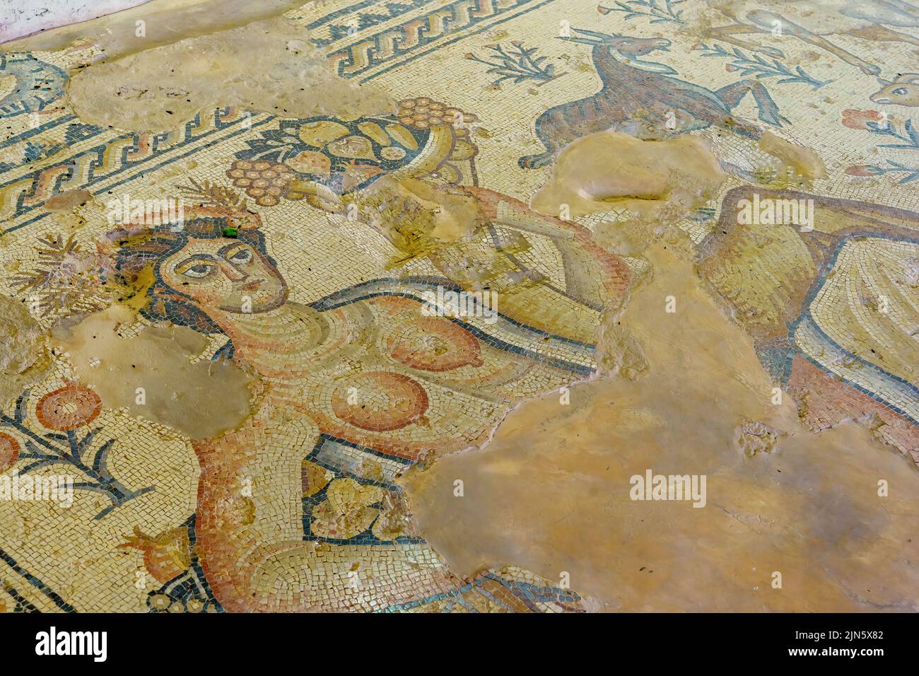 View of an ancient Roman era mosaic floor of the Nile house, in Tzipori National Park, Northern Israel Stock Photo