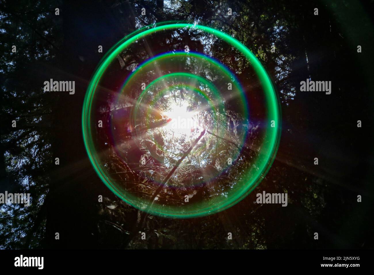 Green lens flare from the trees in the woods Stock Photo - Alamy
