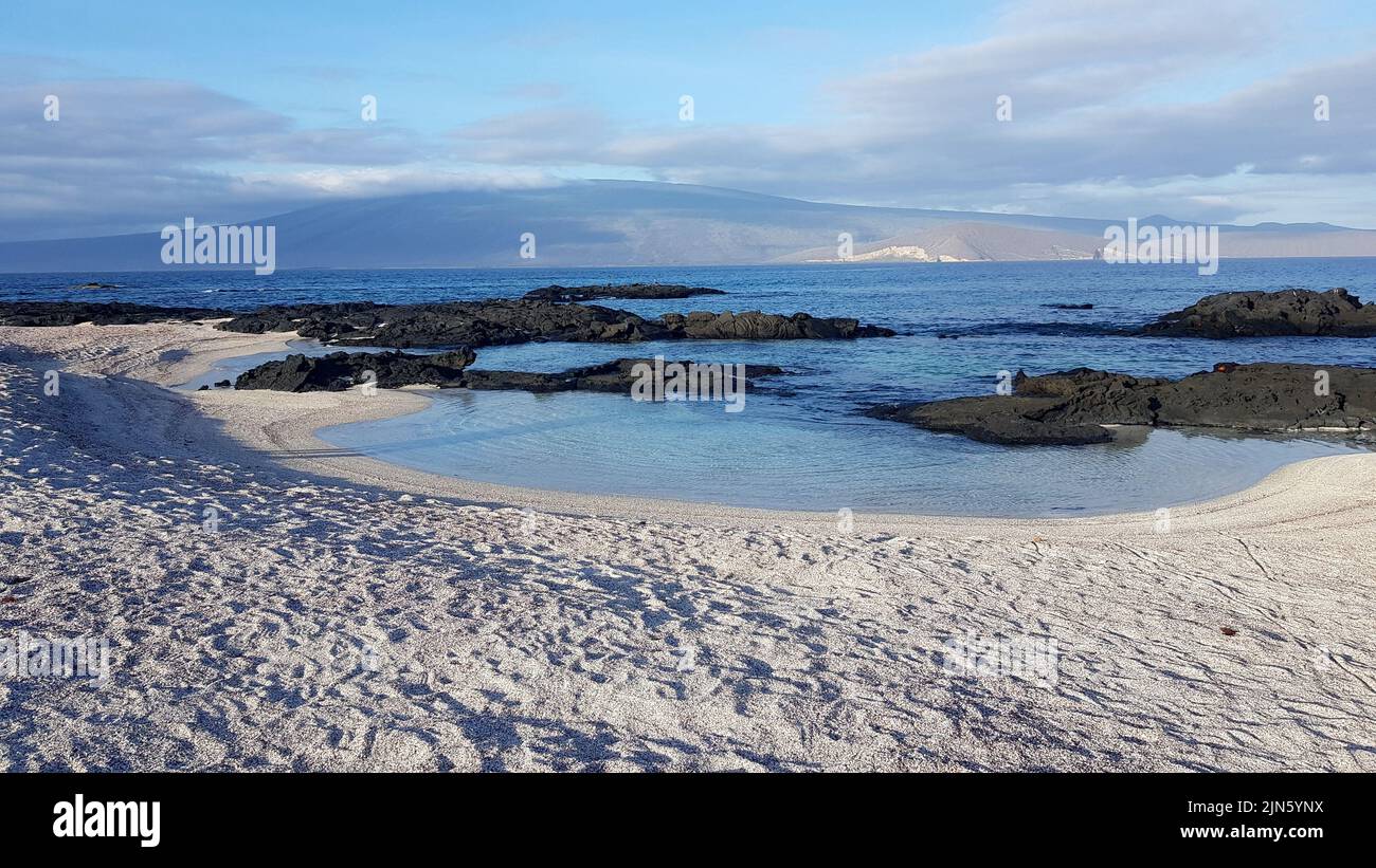 Empty sandy beach and black rocks in Fernandina island, Galapagos Stock Photo