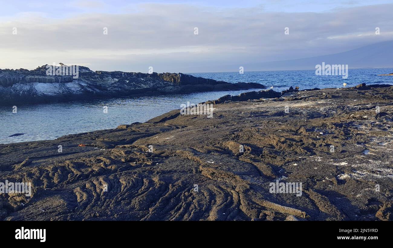 Black rocks next to the sea in Fernandina island, Galapagos Stock Photo