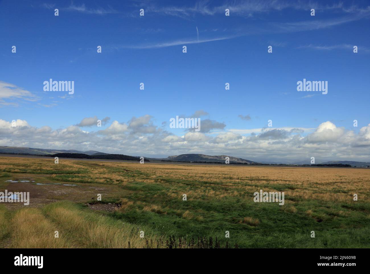 Salt marsh looking toward Milnthorpe Sands from near Carr Bank Arnside ...
