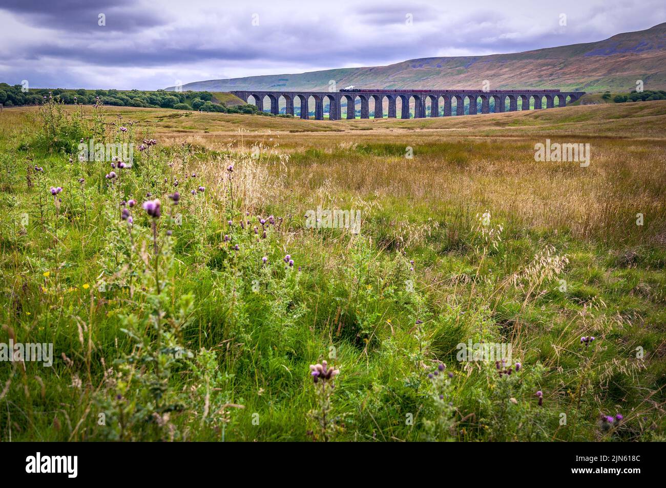 Ribblehead viaaduct on the Setlle to Carlsile line in Yorkshire with steam locomotive British India Line heading south. Stock Photo