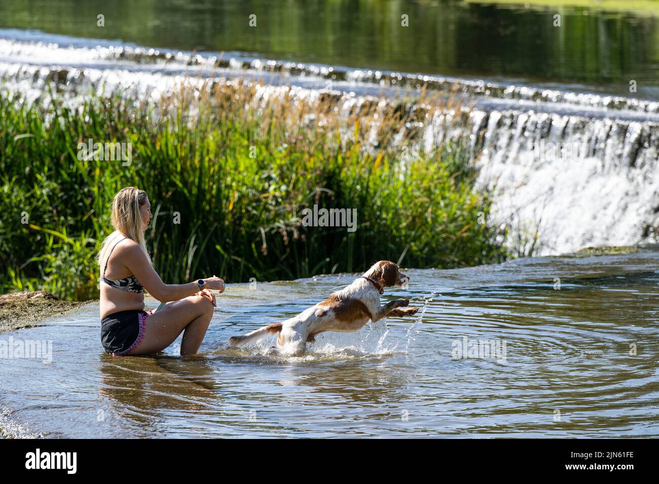 09.08.22. WEATHER SOMERSET.  People enjoy the water at Warleigh Weir on the River Avon near Bath in Somerset as temperatures continue to soar across t Stock Photo