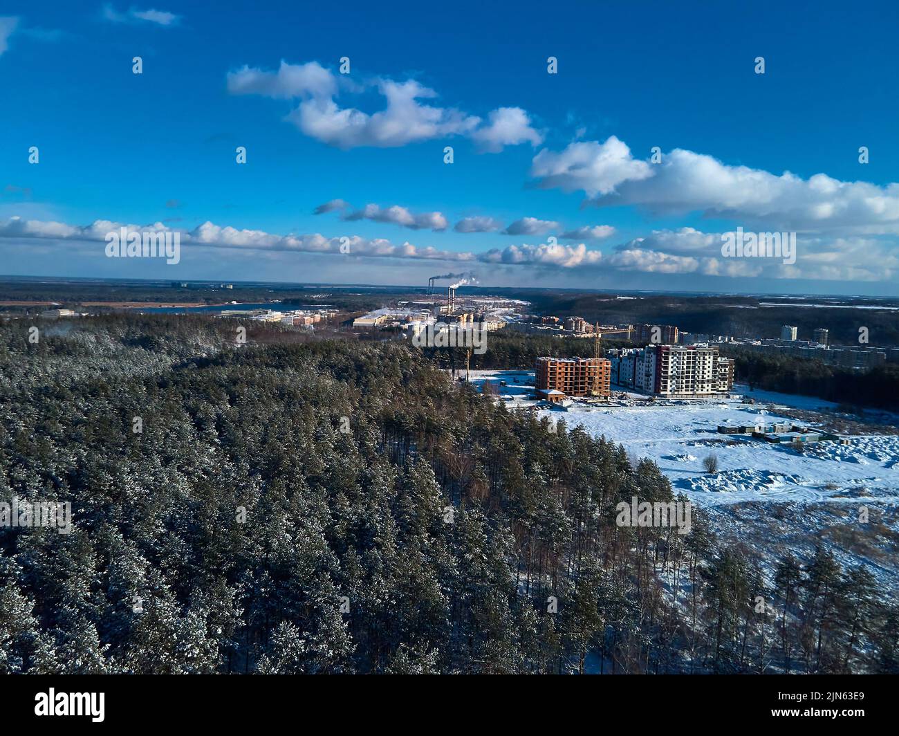 Falling snow between pine trees hi-res stock photography and images - Alamy