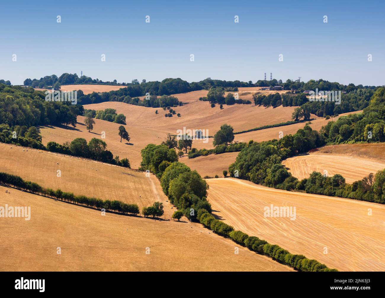 The parched landscape of Bromley, South London, during the 2022 heatwave. Stock Photo