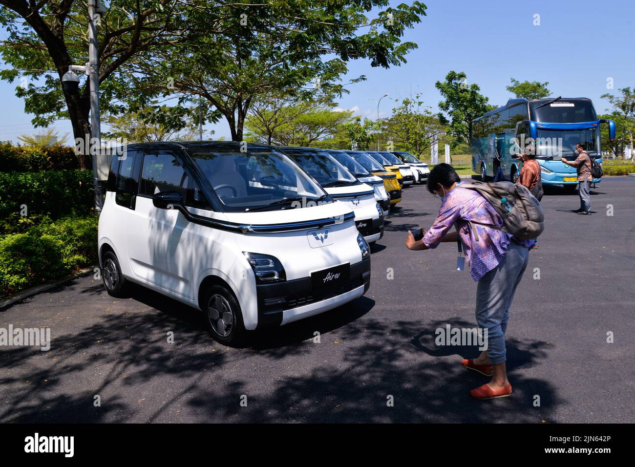 Wuling 2024 ev stock