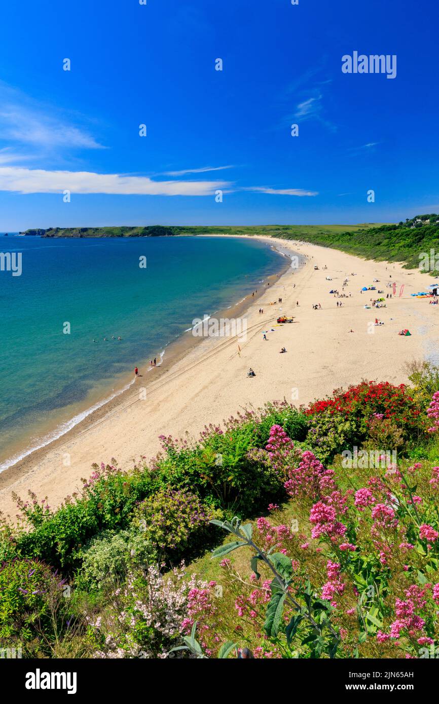 Looking west along the extensive South Beach towards Lydstep Point in Tenby, Pembrokeshire, Wales, UK Stock Photo