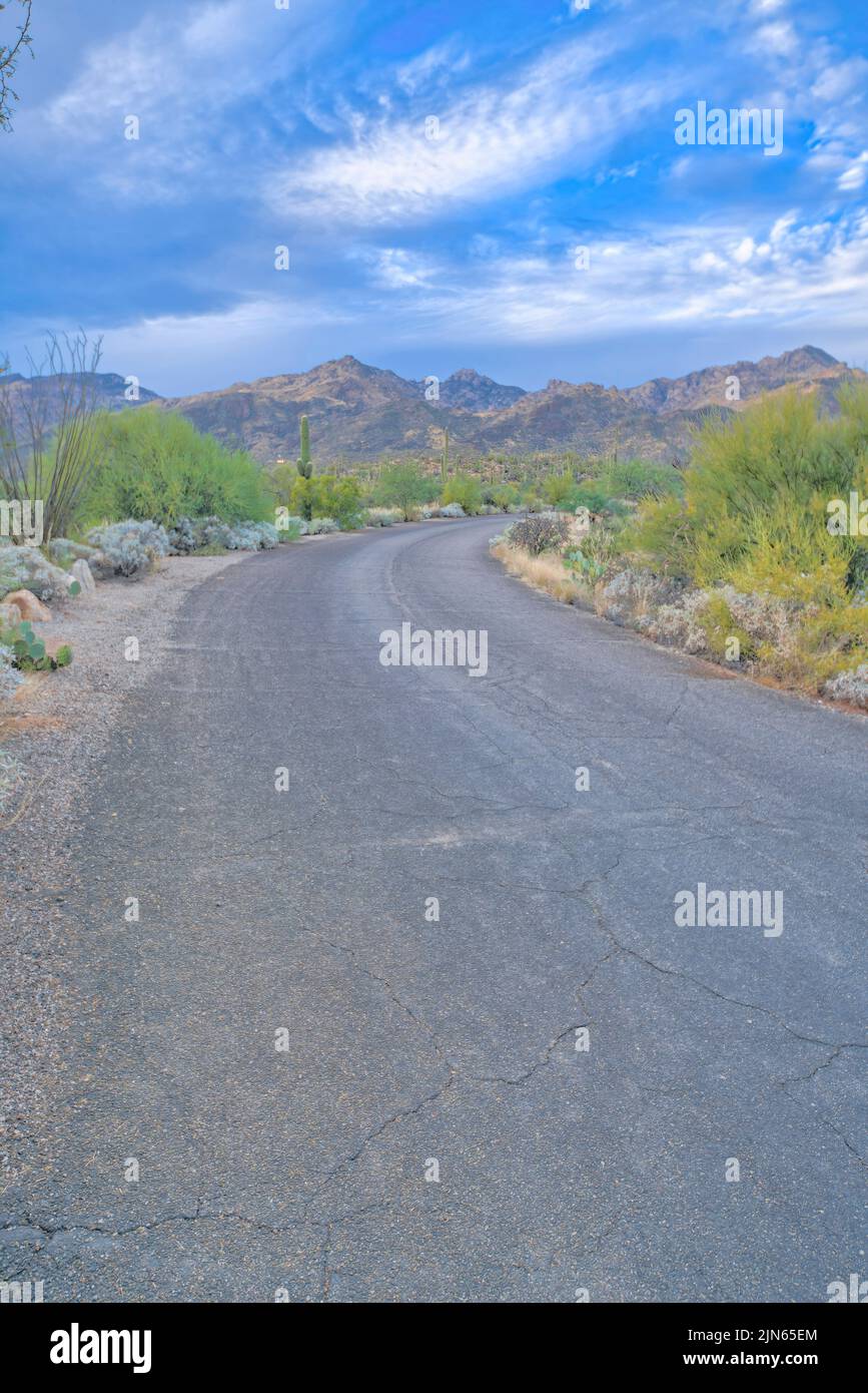 Road at Sabino Canyon State Park in Tucson, Arizona Stock Photo Alamy