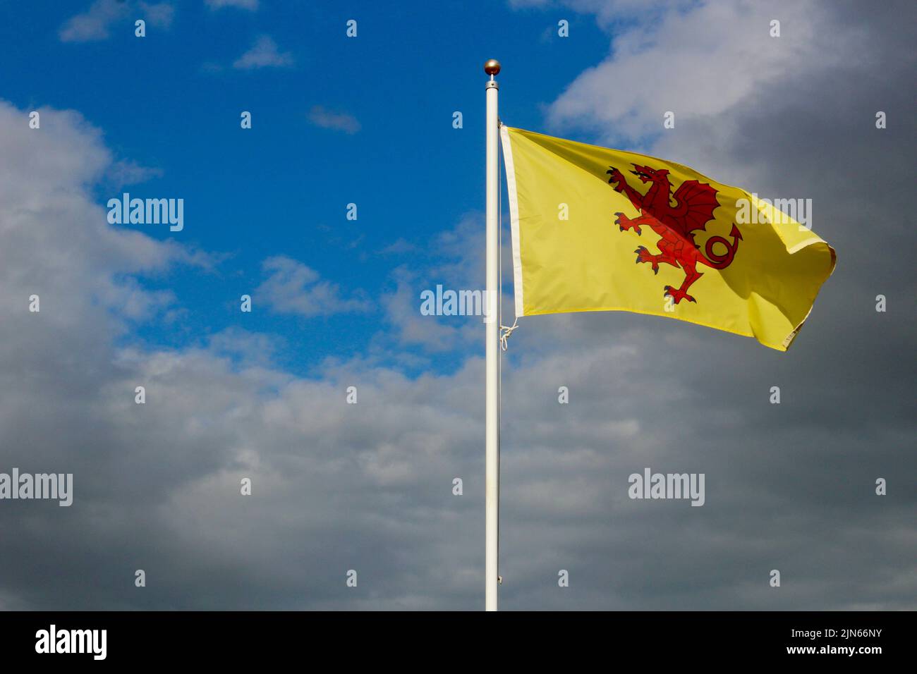 the county council flag of somerset flying on a summers day Stock Photo