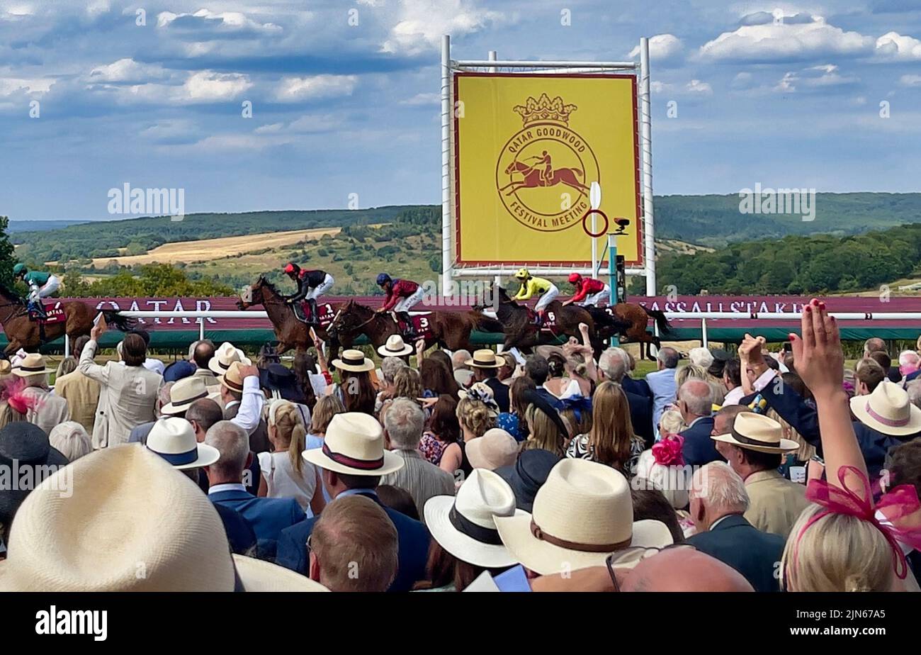 Goodwood Race track Stock Photo - Alamy