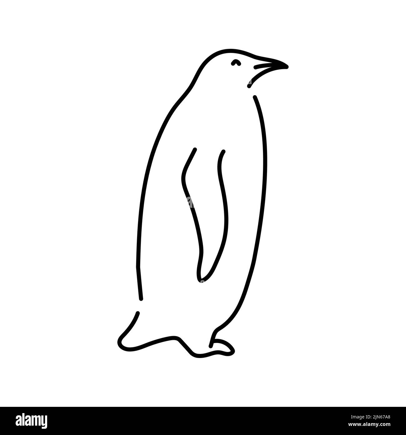 Penguin color line illustration. Marine mammals Stock Vector Image