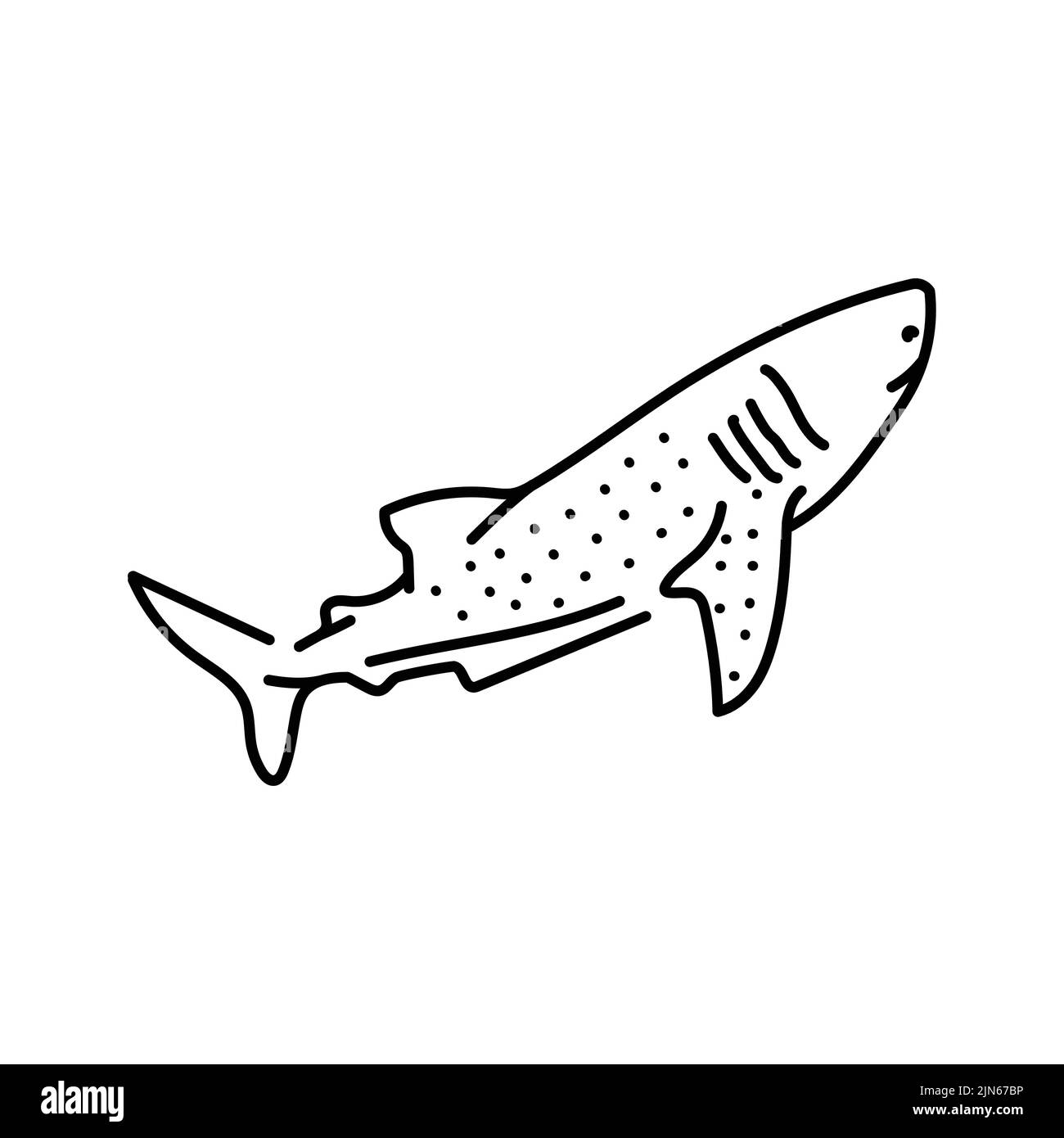 Whale shark color line illustration. Marine mammals Stock Vector Image