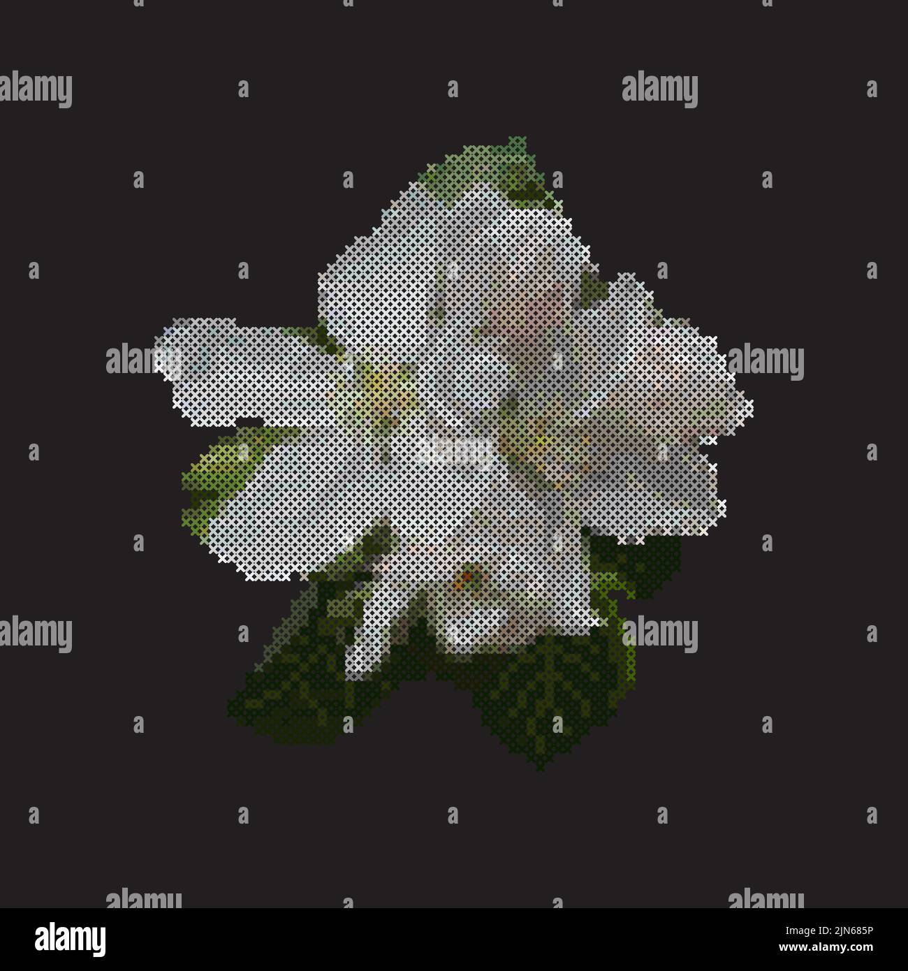 Cross stitch apple blossom, floral embroidery, vector illustration