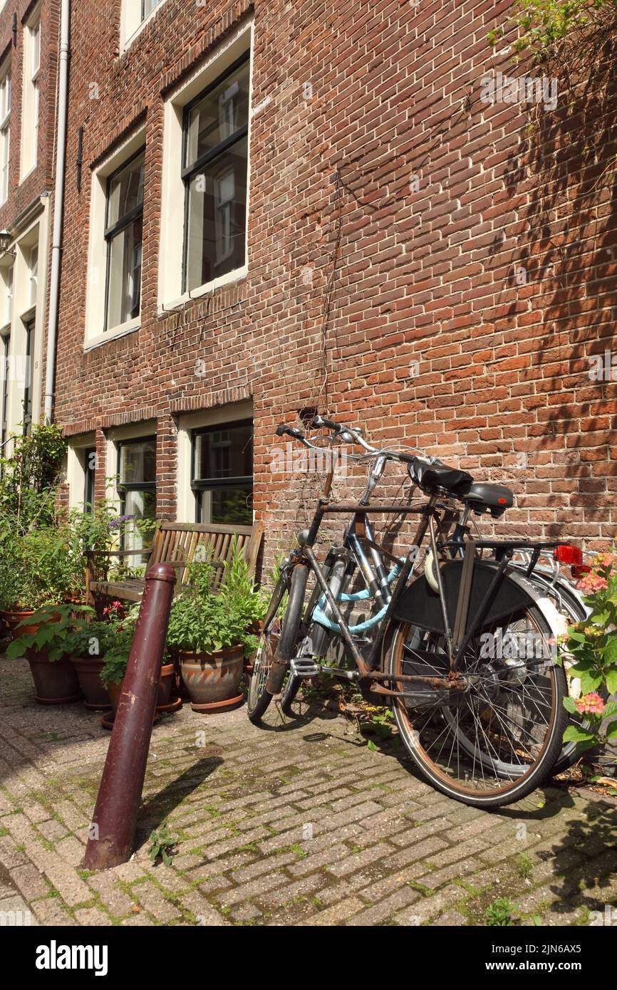 Bicycles parked outside houses on Karthuizersdwars Straat, Amsterdam, Netherlands. Stock Photo