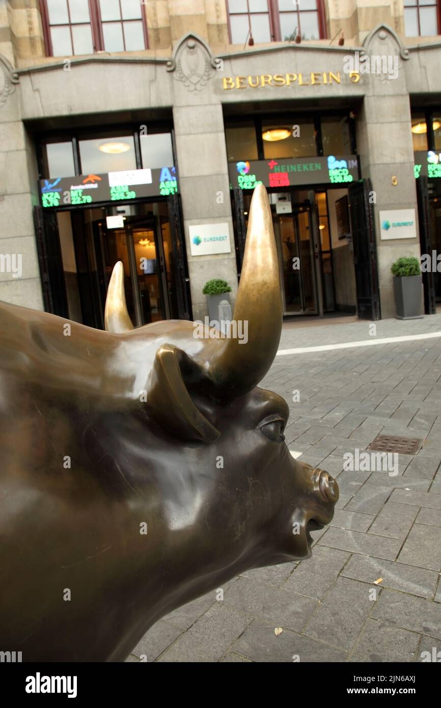 Bull statue outside the Amsterdam Stock Exchange, Beursplein, Amsterdam, Netherlands. Stock Photo