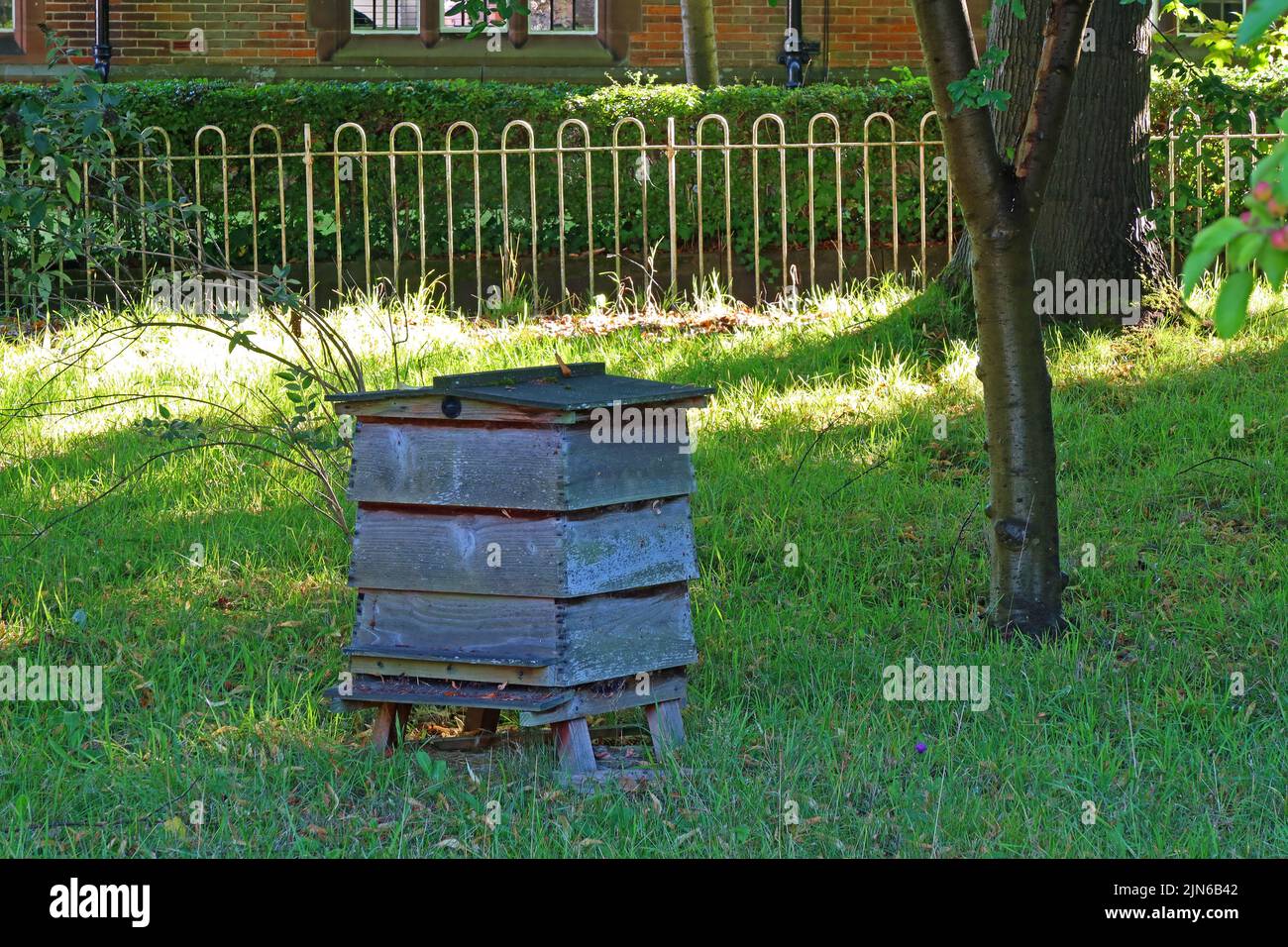 Urban beehive in a garden, Higher Walton, Warrington, Cheshire, England, UK, WA4 Stock Photo