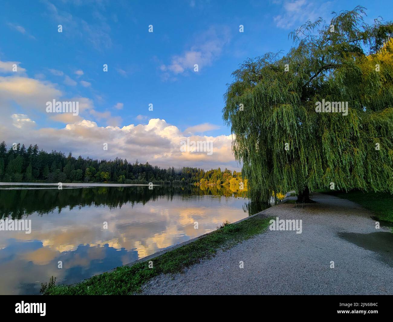 The beautiful view of the lake in a park surrounded by green vegetation. Lost Lagoon, Vancouver, BC. Stock Photo