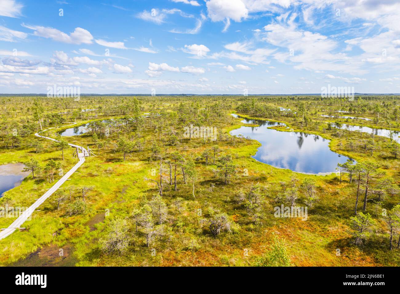 Great Kemeri Bog swamp at the Kemeri National Park in Latvia Stock Photo