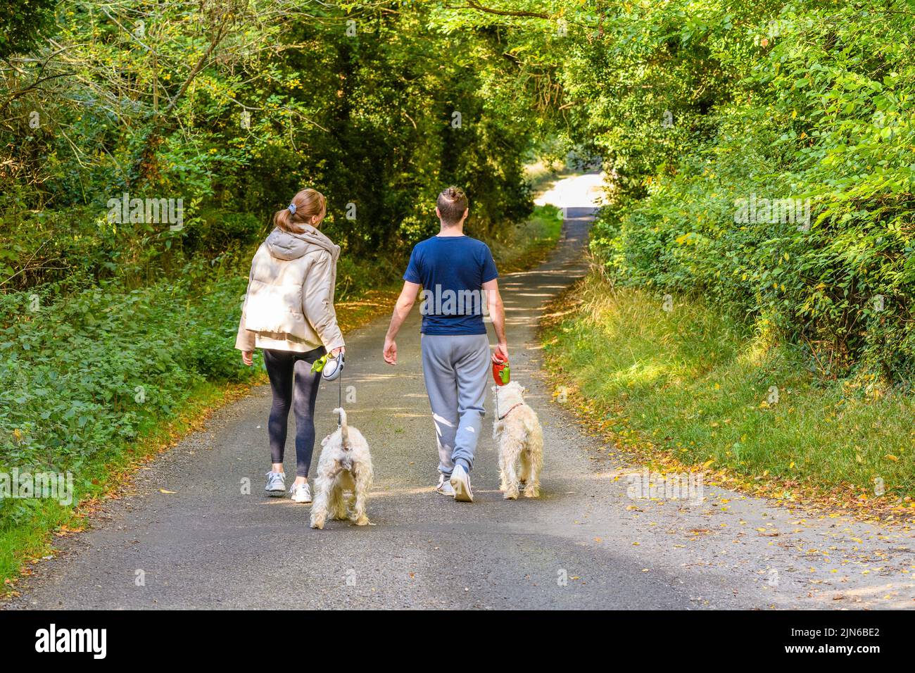 Back view couple walking dog hi-res stock photography and images - Alamy