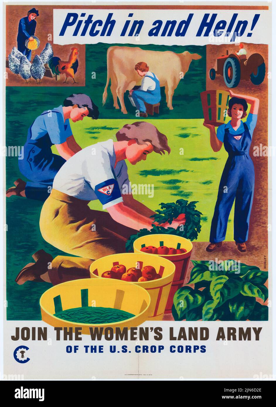 Food world war ii hi-res stock photography and images - Alamy