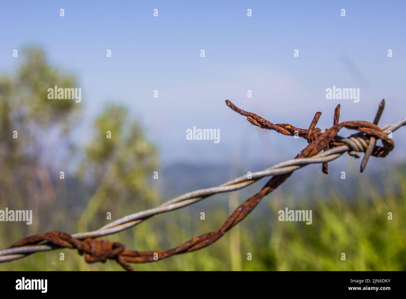 Rusted wire hanging Stock Photo Alamy