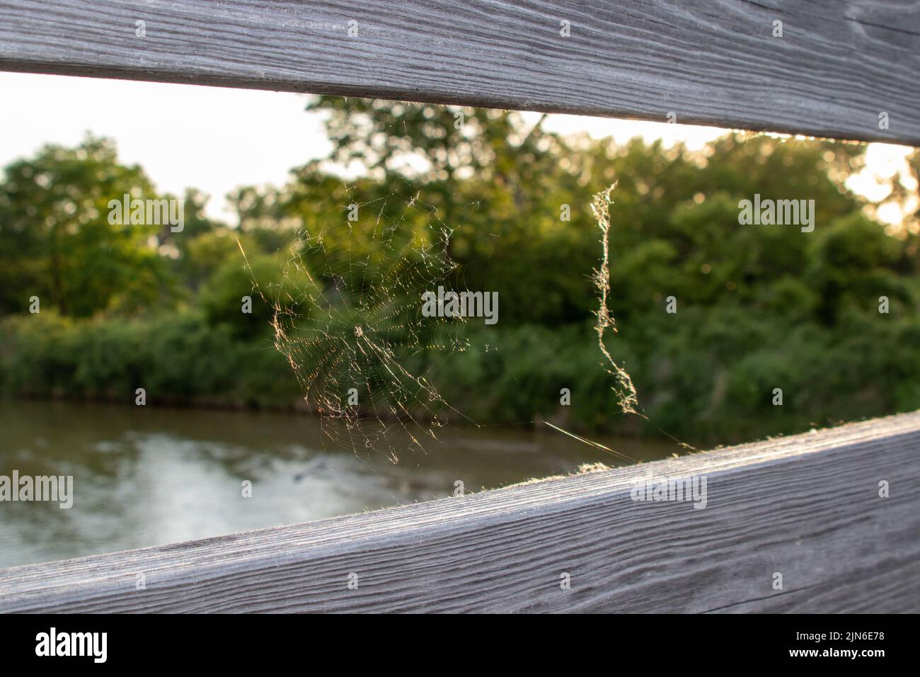 Spider web on wooden bridge between the rails. High quality photo Stock Photo