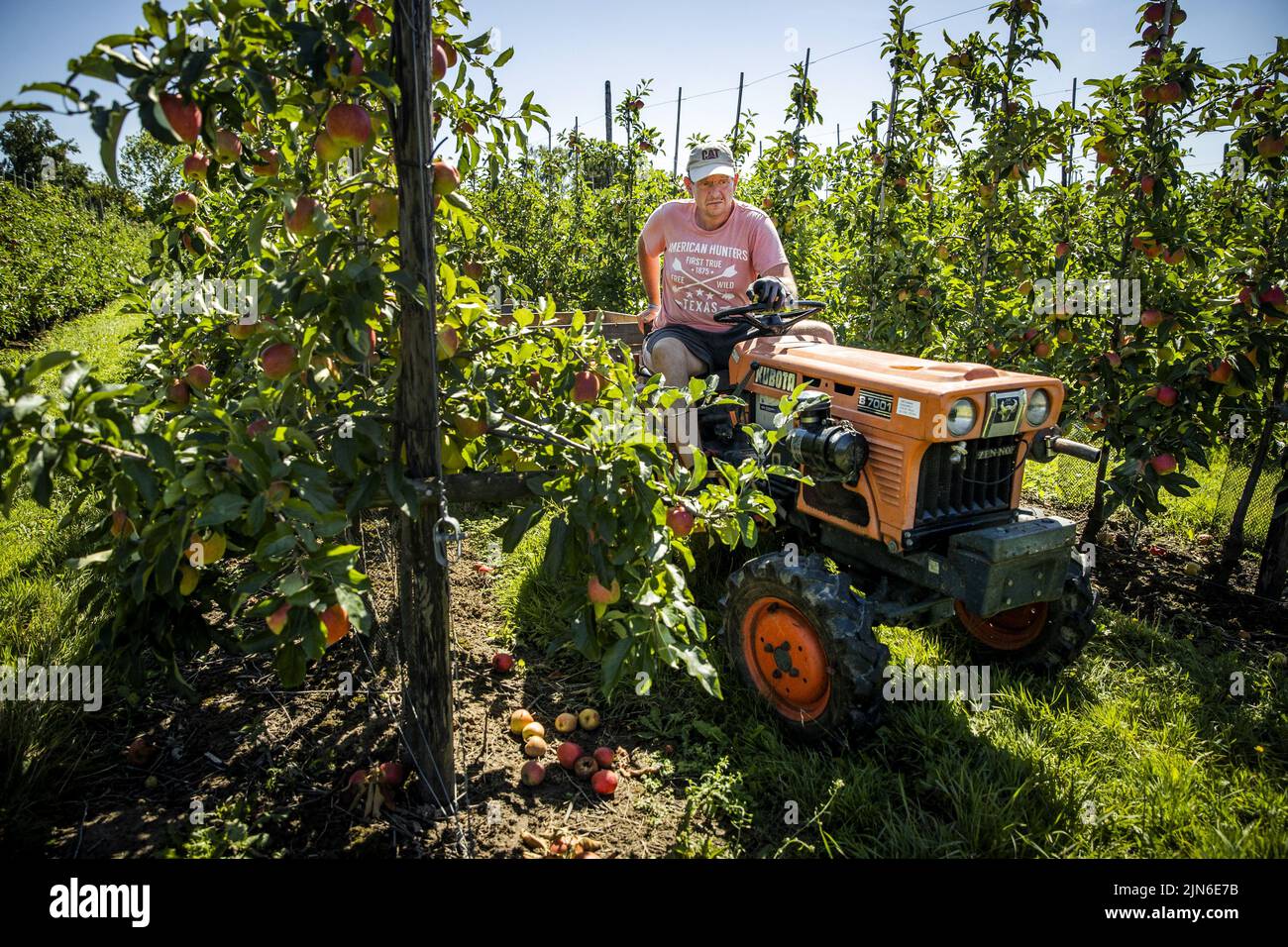 Hitteplan hires stock photography and images Alamy