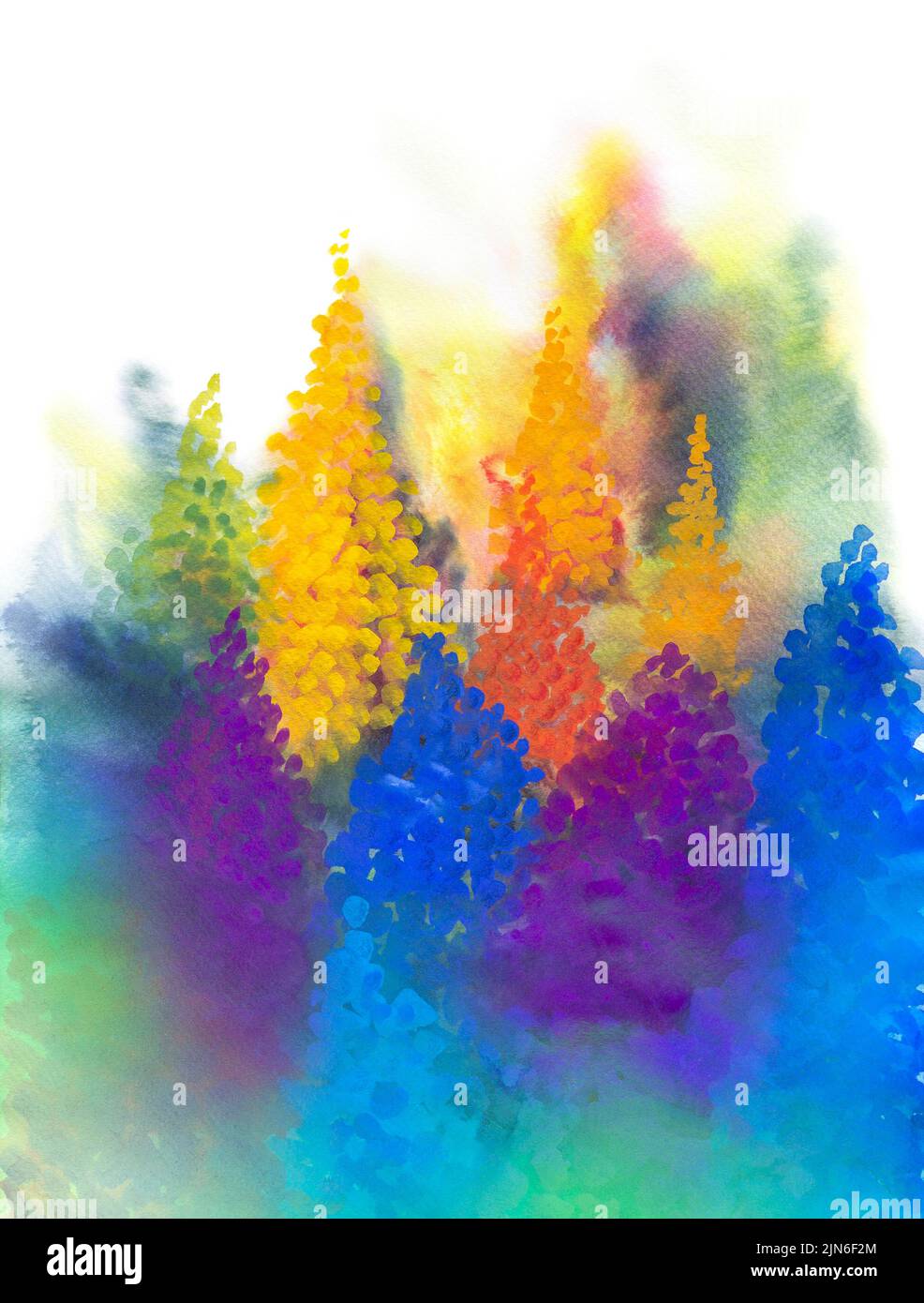 Abstract presentation of colorful lupine flower heads Stock Photo