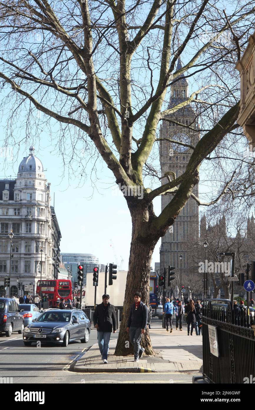 A winter view from the Great George street on the Parliament square, Westminster and Big Ben in London. Bare trees, cars, doubles-deckers and joggers. Stock Photo