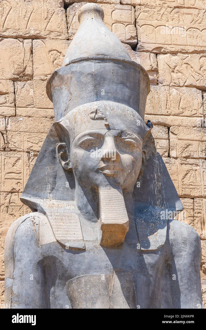 A statue of Ramses II at the Luxor Temple, Egypt. Stock Photo